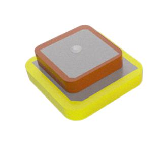 AbraconAANI-PP-0229
