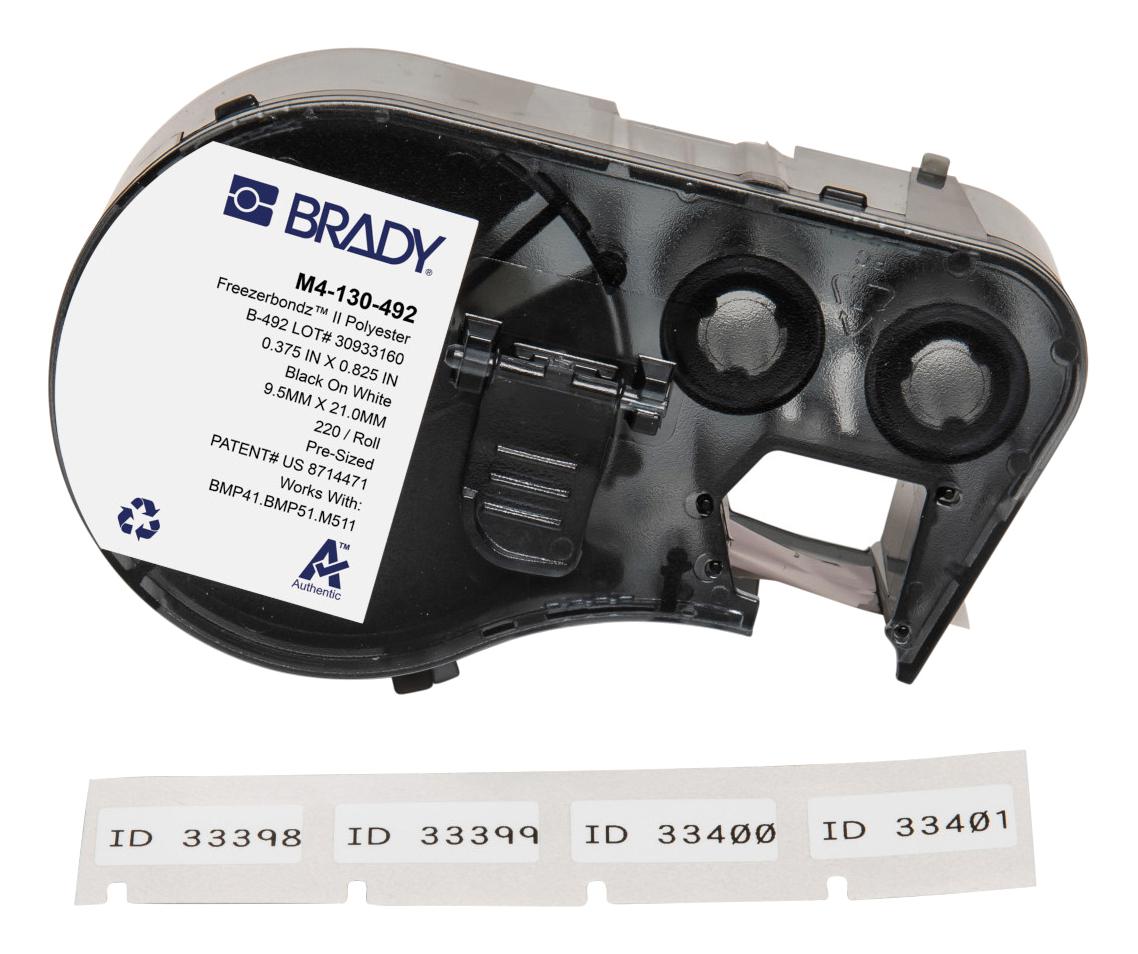 BradyM4130492