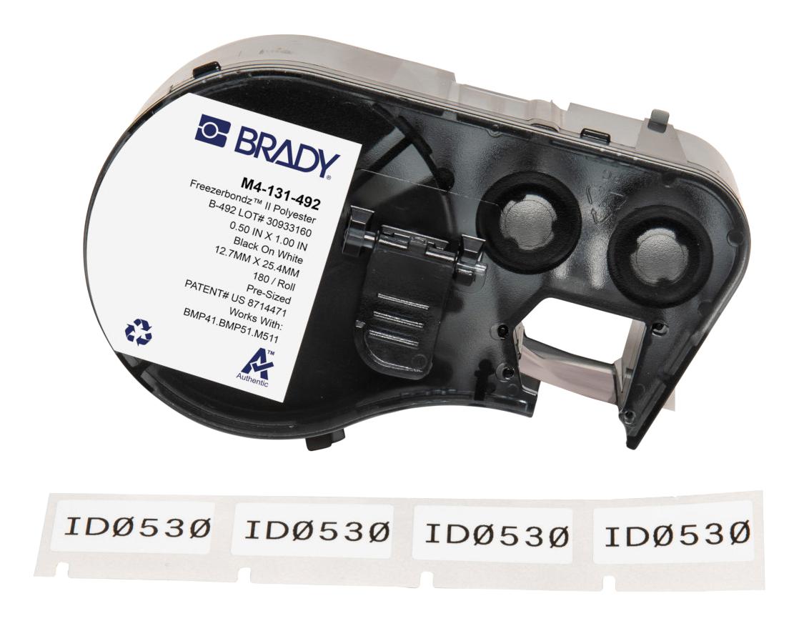 BradyM4131492