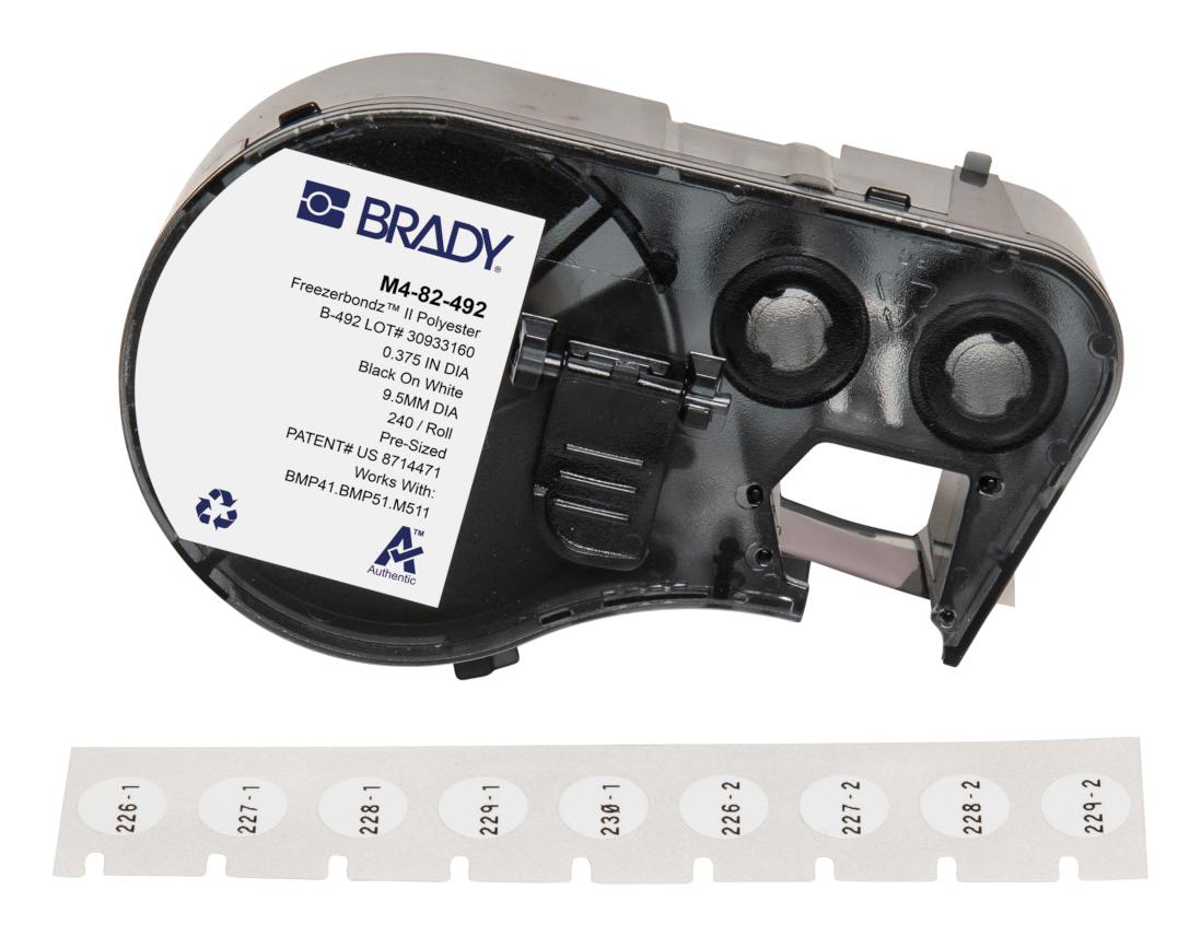 BradyM482492