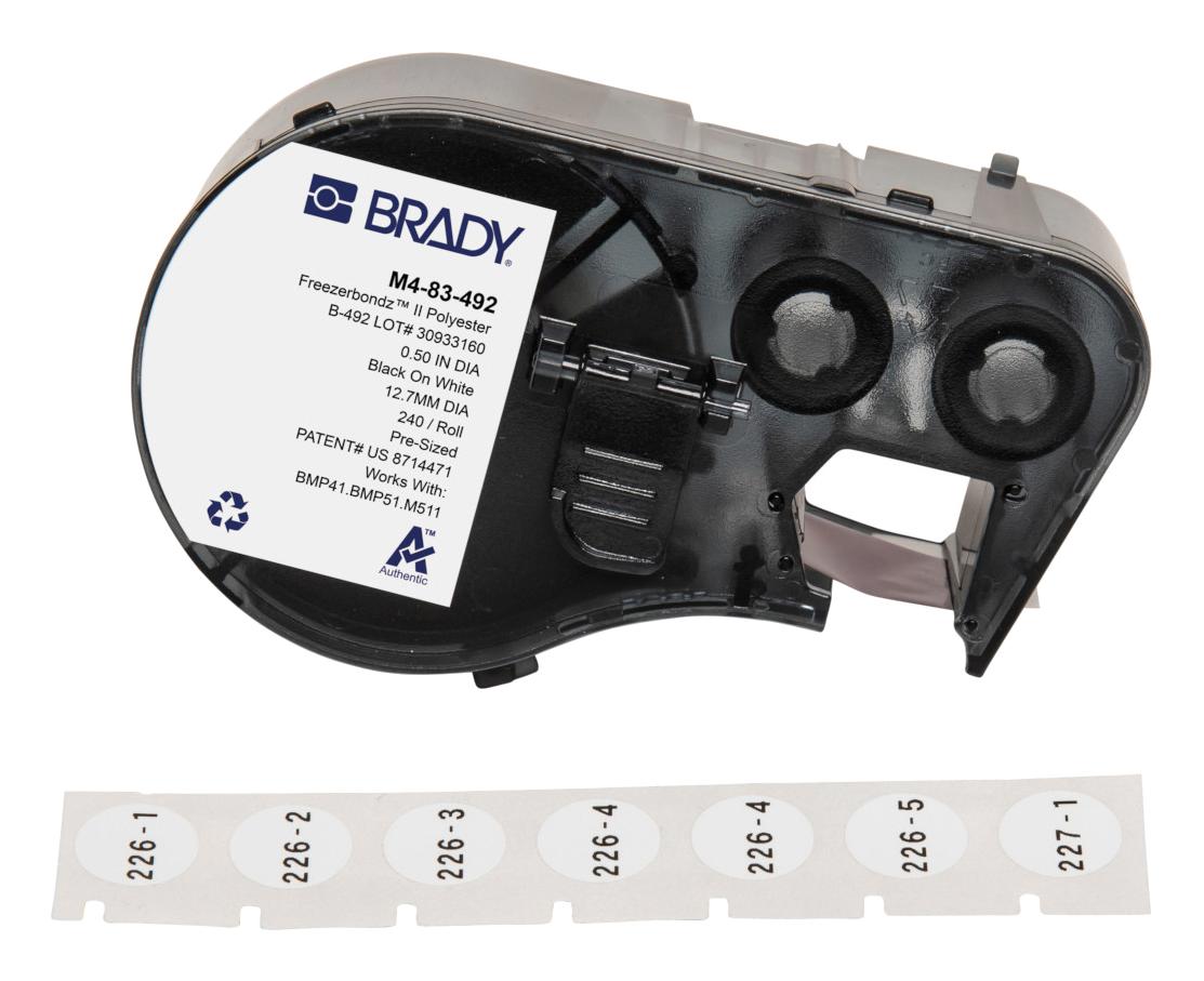 BradyM483492