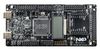 NXP FRDM-MCXA366