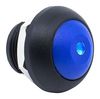 E-SWITCH RP8100B2M1CEBLKBLUBLU