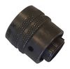 ITT CANNON MS3116F20-24S