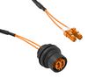 BULGIN LIMITED PXF6052BAA