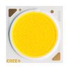 CREE LED CXB2540-0000-000N0HW230G