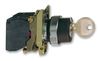 SCHNEIDER ELECTRIC XB4BG21