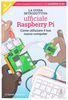 RASPBERRY-PI MAG36