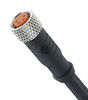 LUTRONIC 0800 03 300 5M