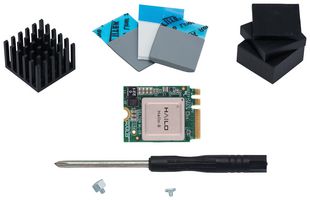 HAILO TECHNOLOGIES LTD HM218B1C2YAE STARTER KIT, A+E KEY M.2 2230 MOD, AI
