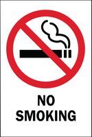 BRADY 88427 Safety Sign, No Smoking / with Pictogram, 177.8 mm, 254 mm