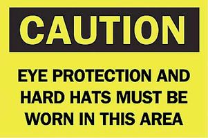 BRADY 42778 Safety Sign, Caution Eye Protection And Hard Hats Must Be Worn In This Area, 254 mm, 355.6 mm