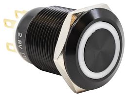 E-SWITCH PV4F2Y011-301