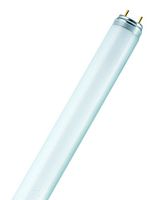 LEDVANCE 4050300517858 Fluorescent Tube, G13, T-8, 36 W, 1.2 m, 3250 lm, 6500 K