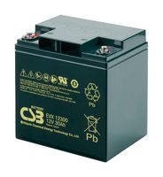 CSB BATTERY OF AMERICA EVX12300 Rechargeable Battery, 12 V, Lead Acid, 30 Ah, Bolt, 1