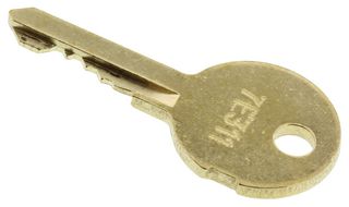 EAO 31-989.311B Switch Key, 31 series Keylock switches, 31 Series