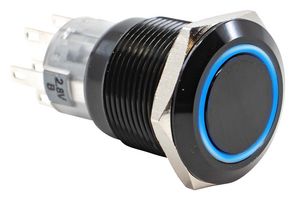 E-SWITCH PV4F2H011-341 Vandal Resistant Switch, PV4 Series, 19 mm, DPDT-DB, On-(On), Round Flat, Black, Anodized