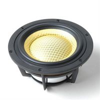 LW5004HR-NM01 from Dynavox
