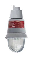 EDWARDS SIGNALING PRODUCTS 116DEGEX-FJ Signal Indicator, Strobe, Transparent, 33 VDC, NEMA 3R, NEMA 4X, 116DEGEX Series