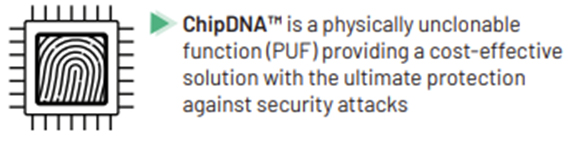 Figure 5: ChipDNA™ PUF implementation