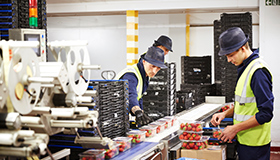 Material handling
